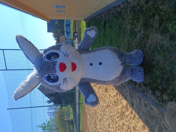 img_20250416_094927880_mp