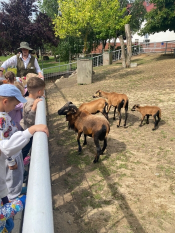 503578027_122196569738283022_5551250201179906339_n